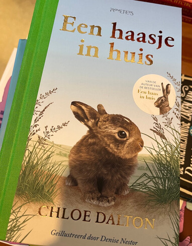Een haasje in huis - Chloe Dalton